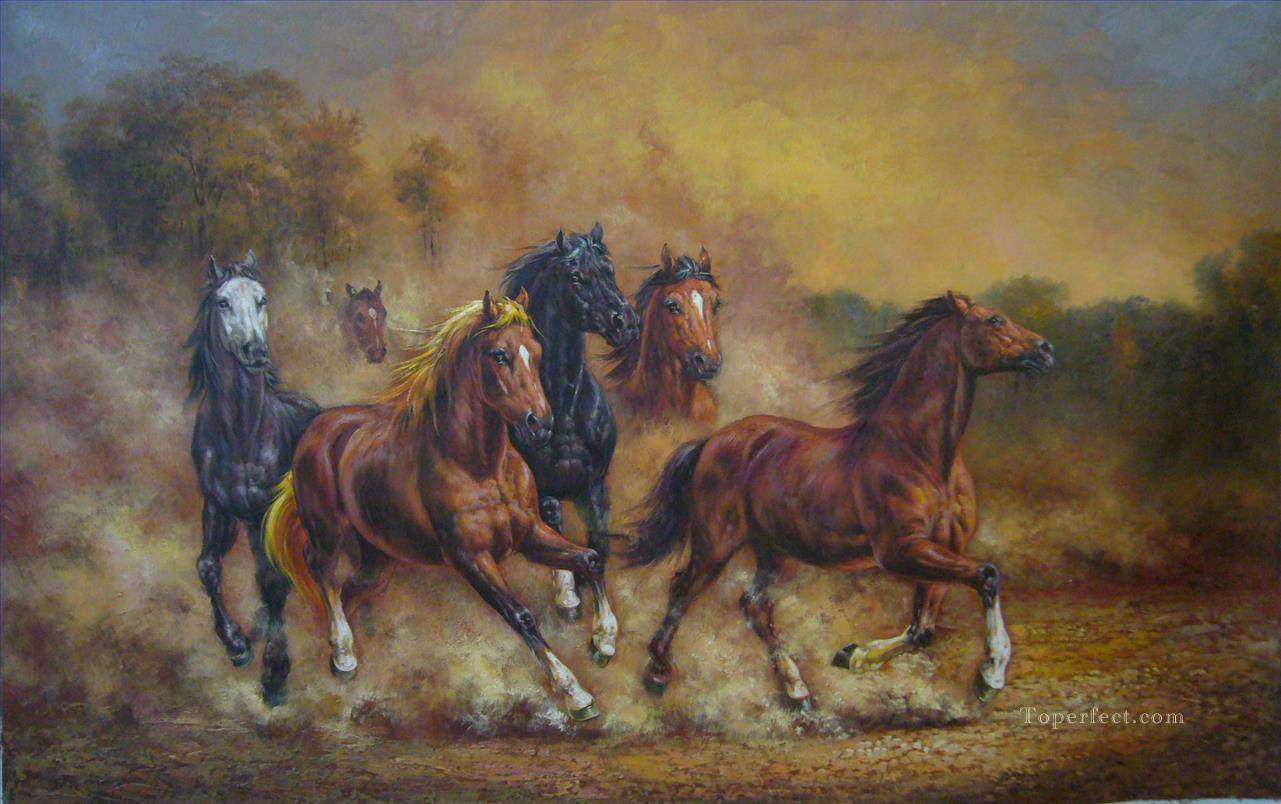 amc0024D13 animal caballo Pintura al óleo